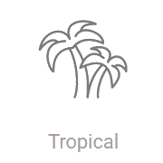 Record Tropical